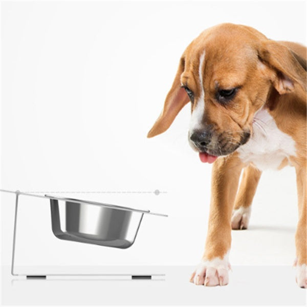Anti-Falling Inclined Pet Feeding & Water Bowl