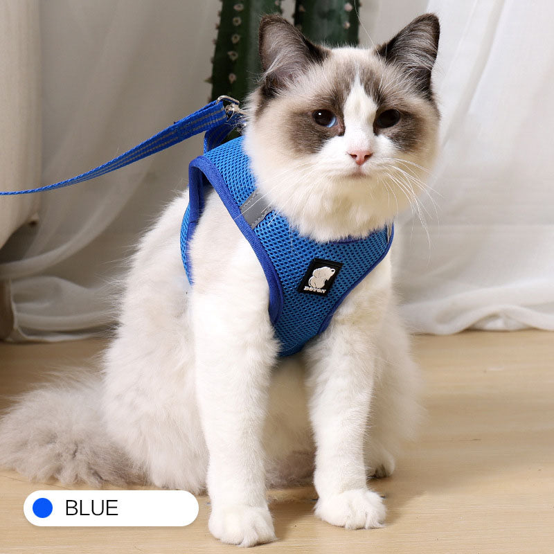 Anti-Strike Mesh Cat Harness & Traction Lead