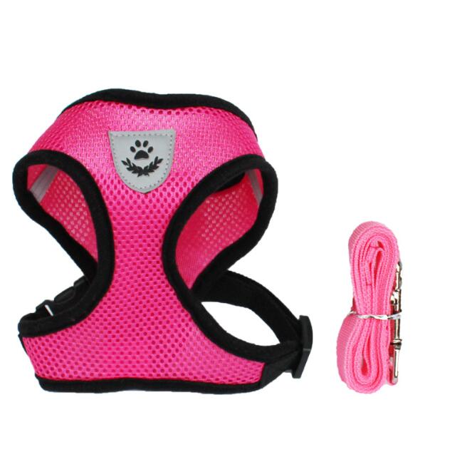 Breathable Mesh Pet Car Seat Belt & Leash