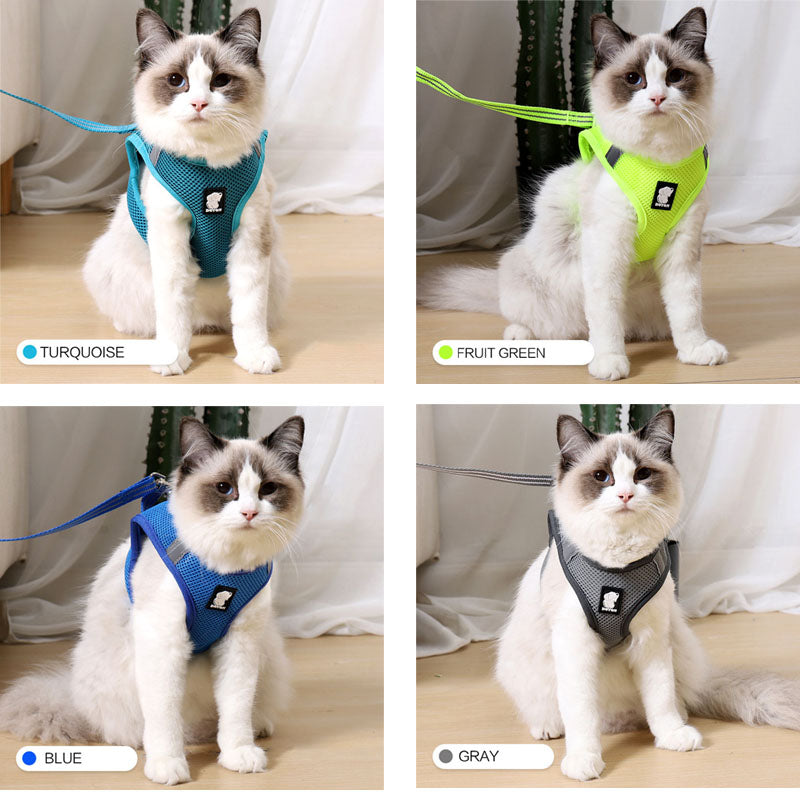 Anti-Strike Mesh Cat Harness & Traction Lead