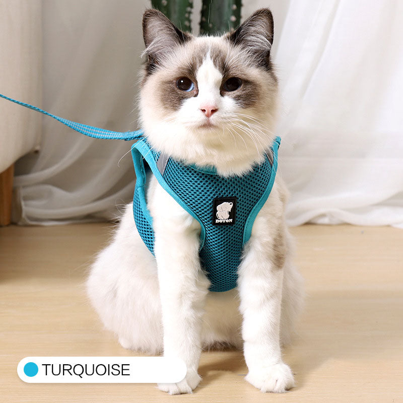 Anti-Strike Mesh Cat Harness & Traction Lead