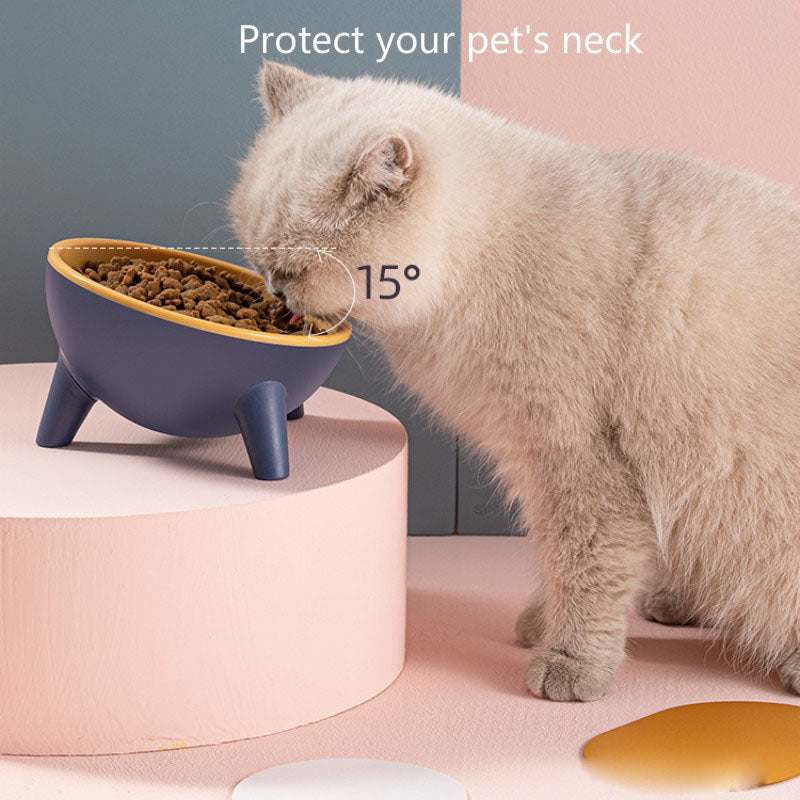 Tilted Pet Feeding Bowl with Stable Stand