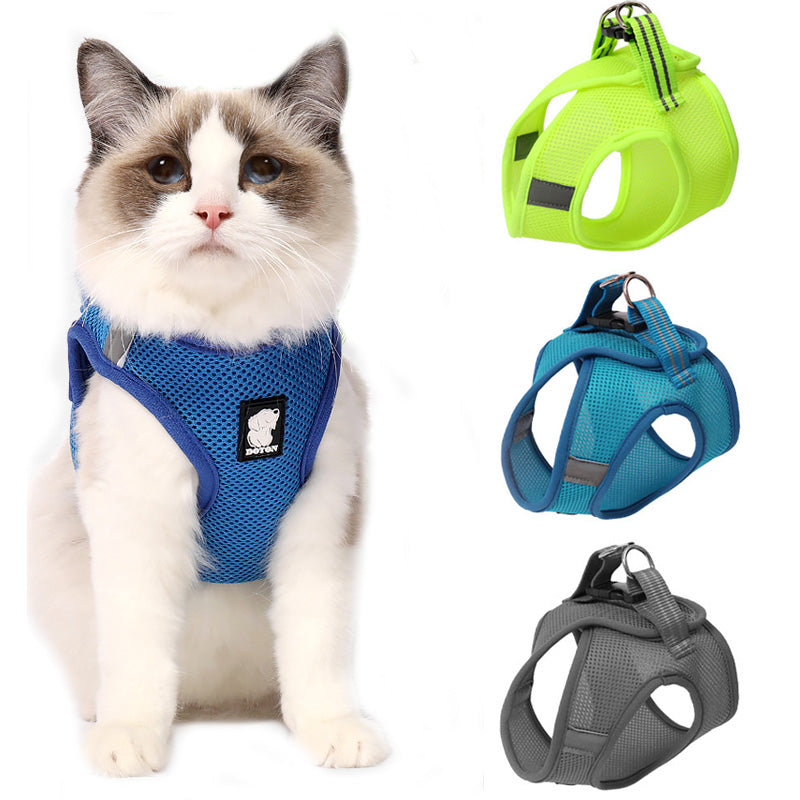 Anti-Strike Mesh Cat Harness & Traction Lead