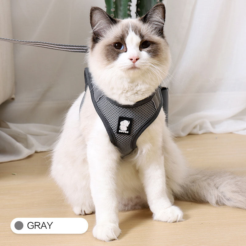 Anti-Strike Mesh Cat Harness & Traction Lead