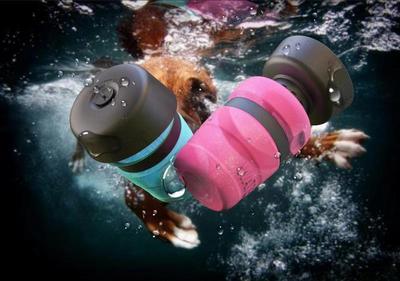 Foldable Outdoor Pet Travel Water Bottle