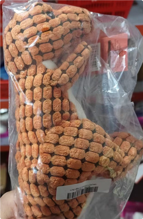 Plush Dinosaur Dog Toy with Squeaker