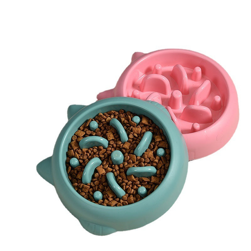 Anti-Gulping Slow Feeder Bowl for Dogs & Cats