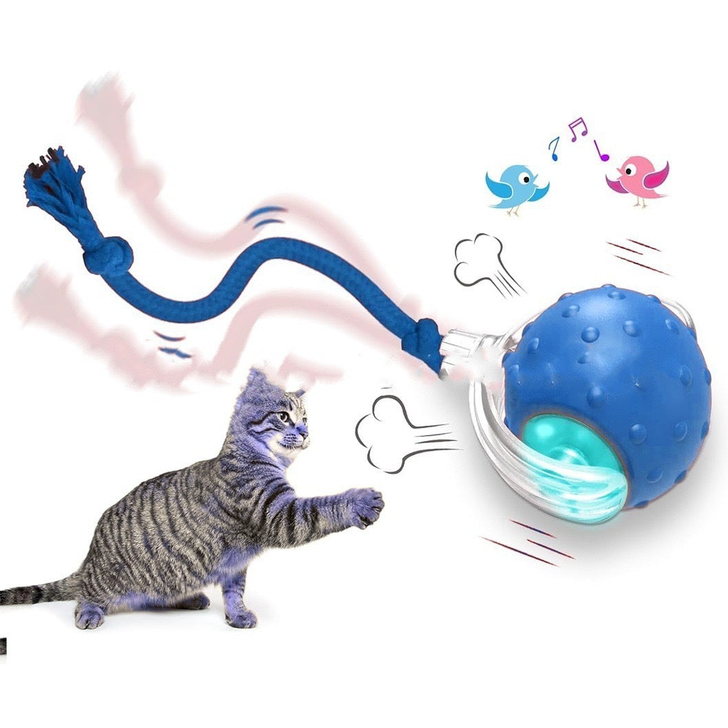 Interactive Rolling Cat Toy Ball with Smart Modes