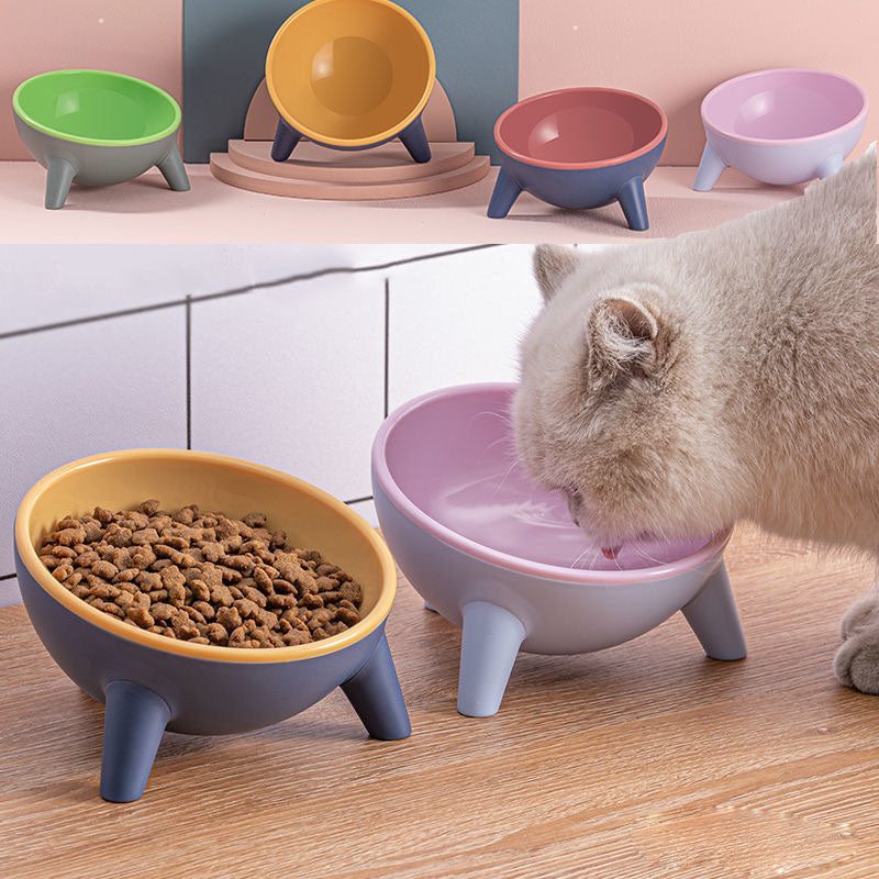 Tilted Pet Feeding Bowl with Stable Stand