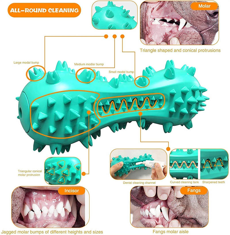 Rubber Molar Chew Toy for Dog Teeth Cleaning