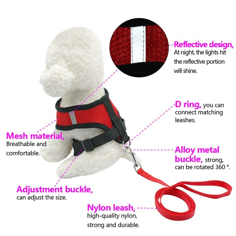 Breathable Mesh Pet Car Seat Belt & Leash