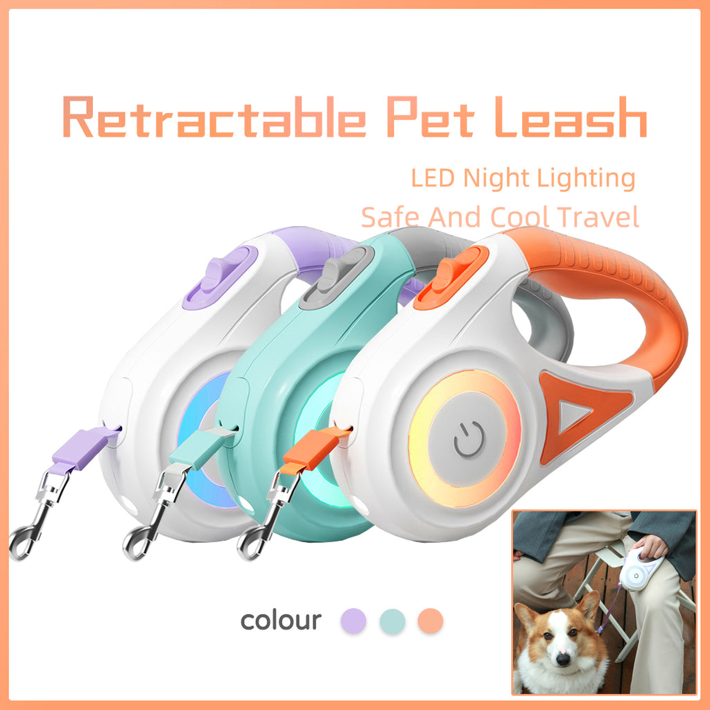 Retractable Dog Leash with Automatic Brake & Matching Collar