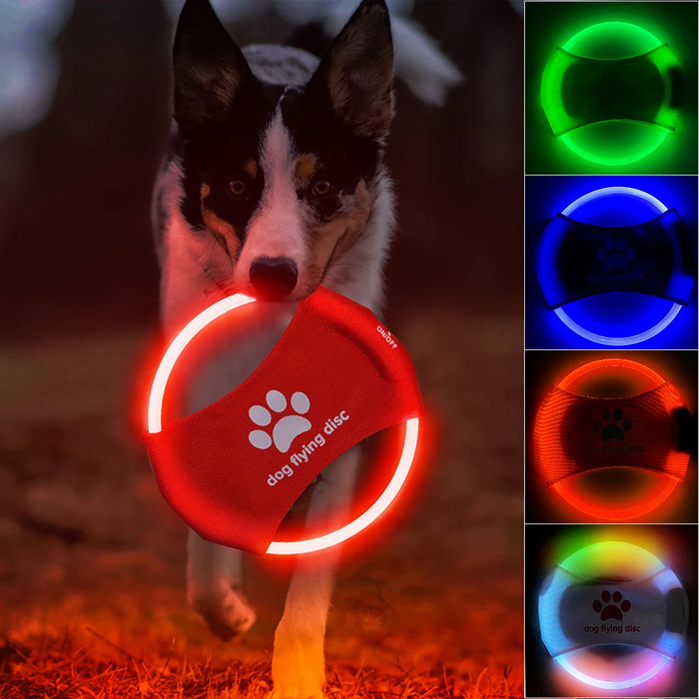 LED Glowing Dog Flying Disc – Rechargeable Interactive Toy