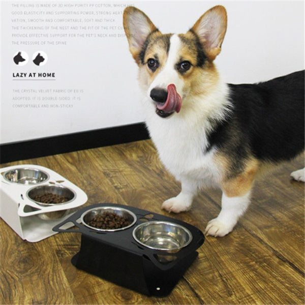 Anti-Falling Inclined Pet Feeding & Water Bowl