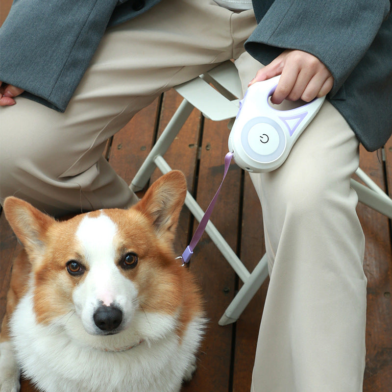 Retractable Dog Leash with Automatic Brake & Matching Collar
