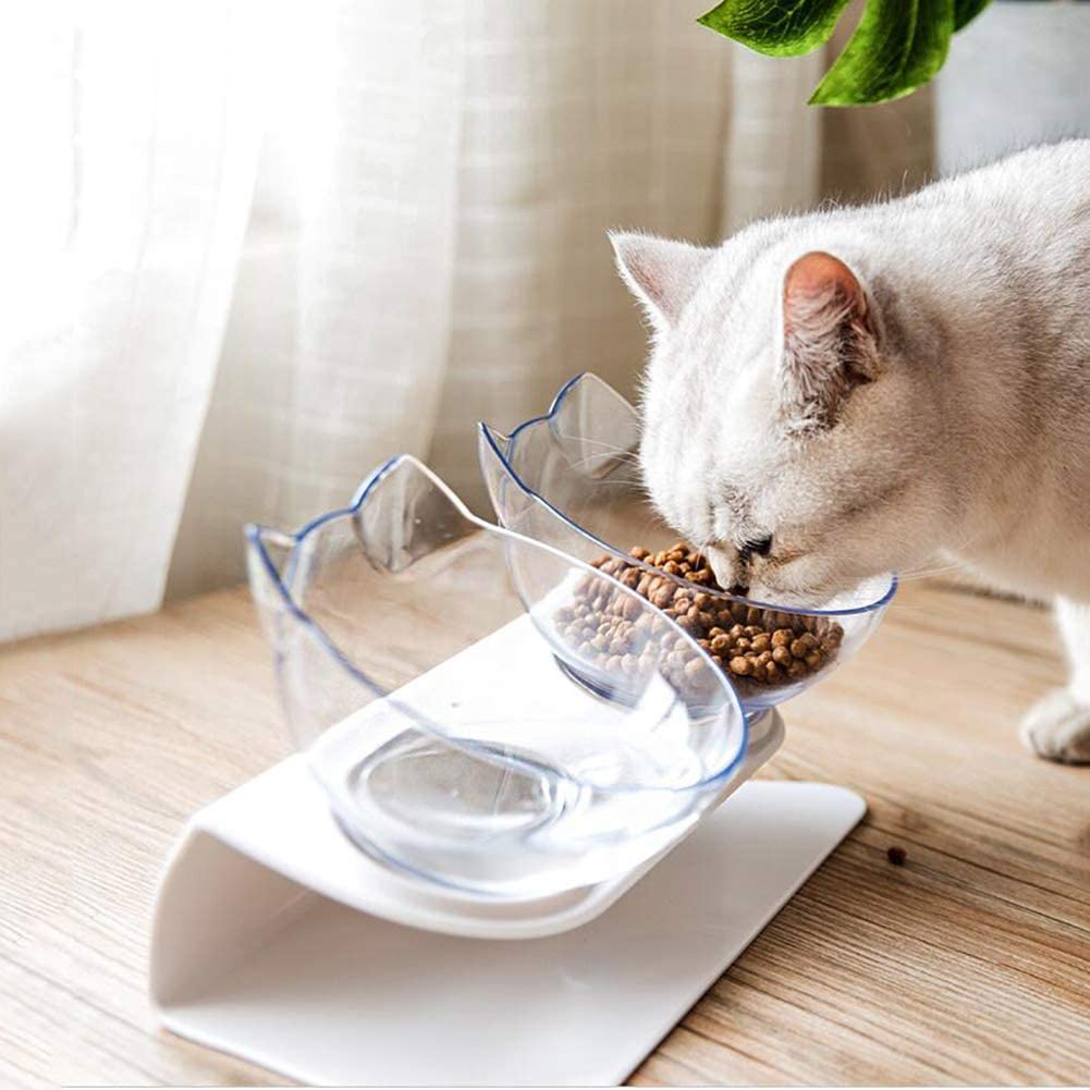 Non-Slip Double Cat Bowl with Raised Stand