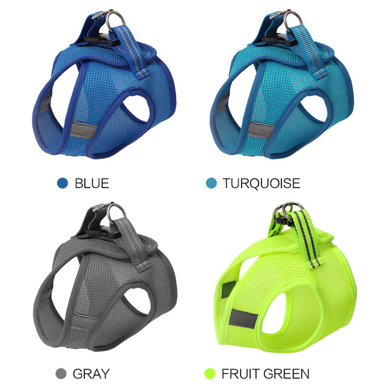 Anti-Strike Mesh Cat Harness & Traction Lead