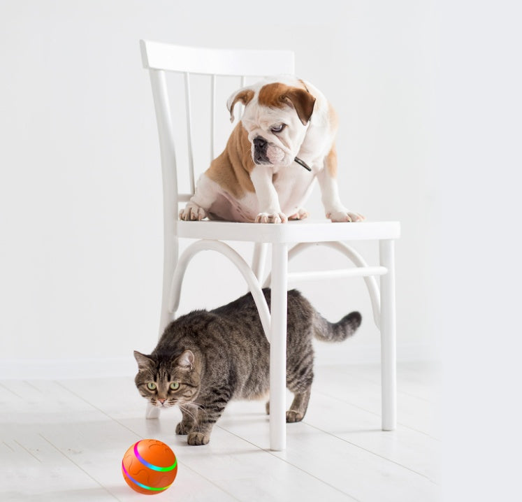 Intelligent Self-Rotating Cat Wicked Ball Toy