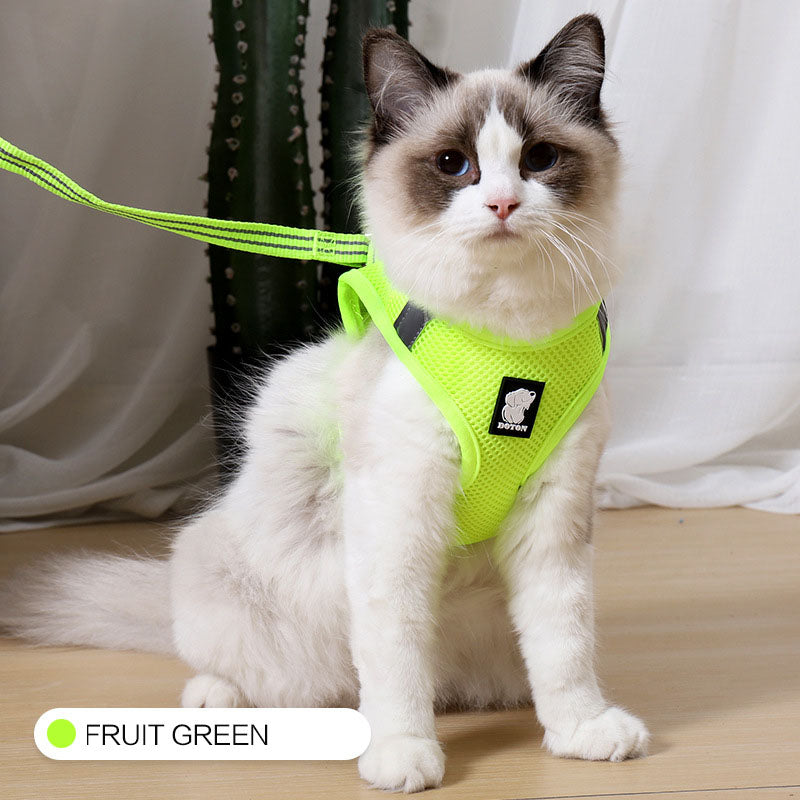 Anti-Strike Mesh Cat Harness & Traction Lead