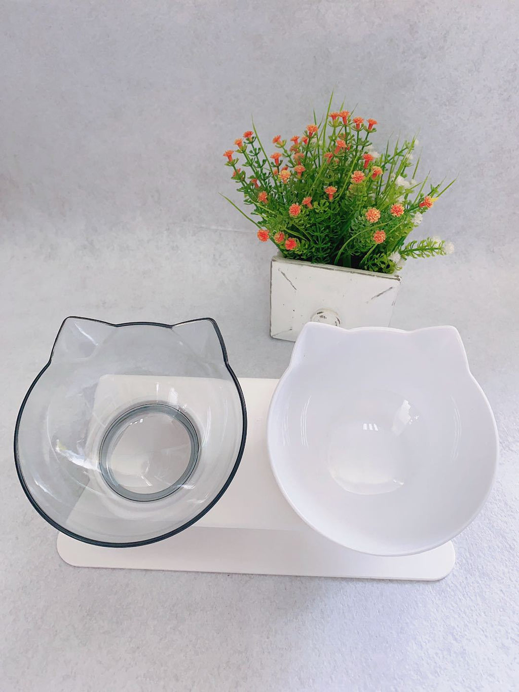 Non-Slip Double Cat Bowl with Raised Stand
