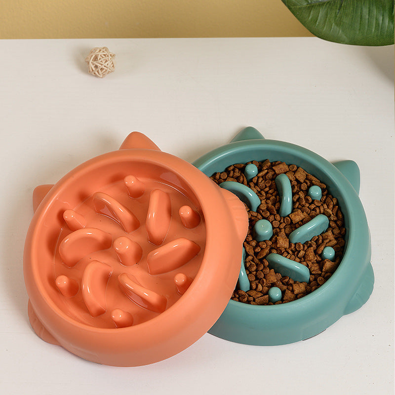 Anti-Gulping Slow Feeder Bowl for Dogs & Cats