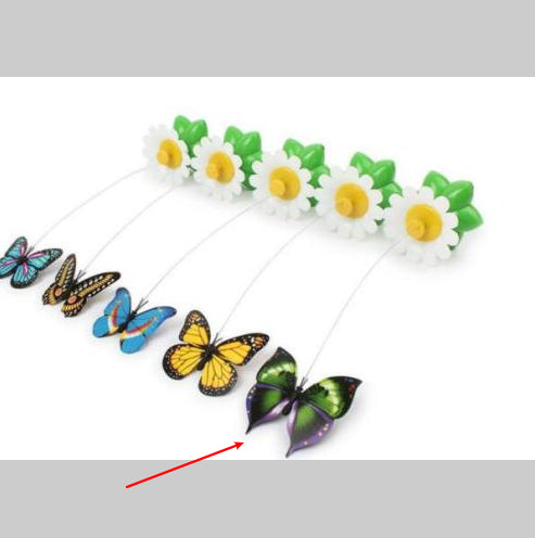 Electric Rotating Butterfly & Bird Toy for Pets