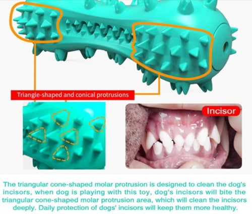 Rubber Molar Chew Toy for Dog Teeth Cleaning
