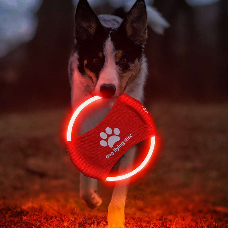 LED Glowing Dog Flying Disc – Rechargeable Interactive Toy