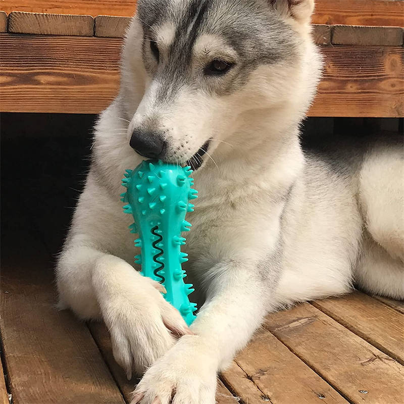 Rubber Molar Chew Toy for Dog Teeth Cleaning