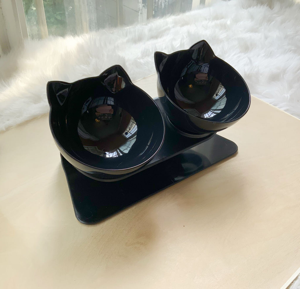 Non-Slip Double Cat Bowl with Raised Stand